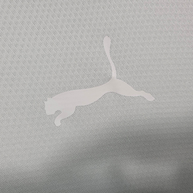 23-24 Dortmund Grey Training Suit