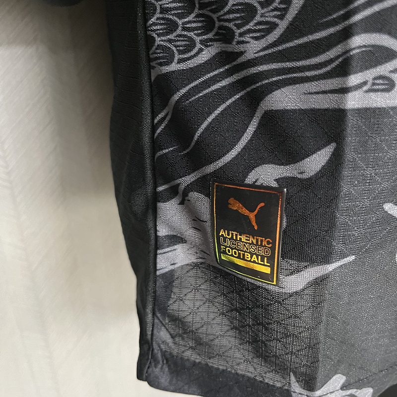 2024-25 PLAYER Manchester City Especia Football jersey