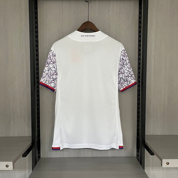 2023-24 Fiorentina away