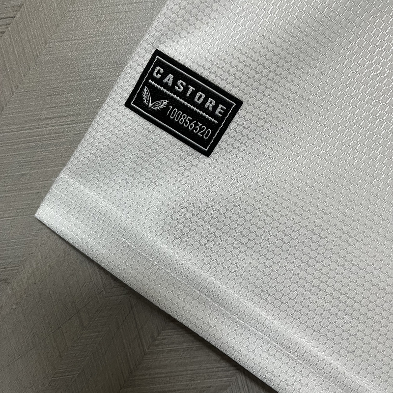 2024-25 Leverkusen Away Football jersey