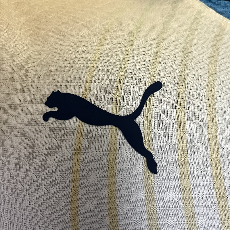 2024-25 PLAYER Manchester City Football jersey