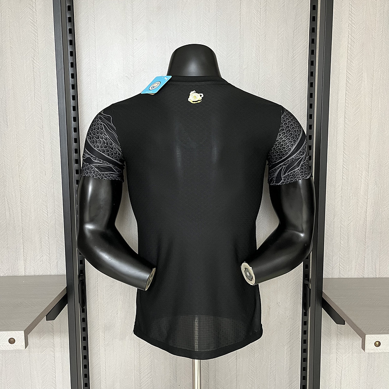 2024-25 PLAYER Manchester City Especia Football jersey