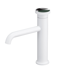 YOLO Stylish Single - Handle Faucet | 5 - Color Bathroom & Kitchen Faucet TX - T9007G