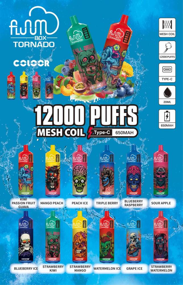 FLUUM BOX 12000 Puffs Disposable Vapes Pen