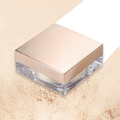 Setting Powder,setting powder 