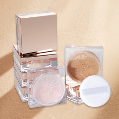 Setting Powder,setting powder 