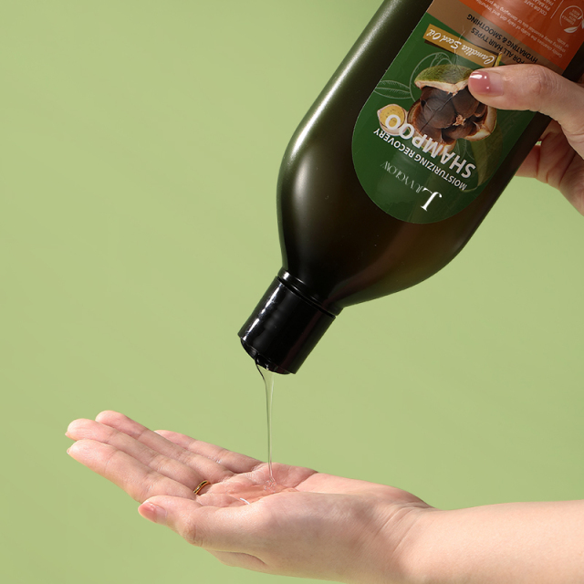 Camellia Seed Oil Moisturizing Recovery Shampoo,Camellia Seed Oil Moisturizing Recovery Shampoo 