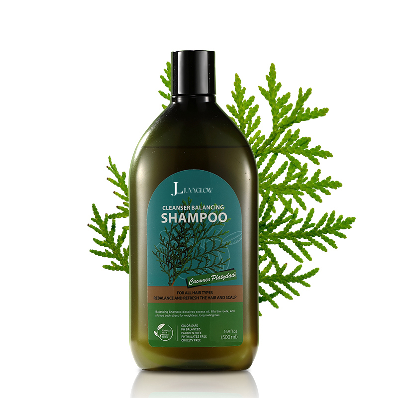 Cacumen Platycladi Cleanser Balancing Shampoo,Cacumen Platycladi Cleanser Balancing Shampoo 