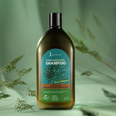 Cacumen Platycladi Cleanser Balancing Shampoo,Cacumen Platycladi Cleanser Balancing Shampoo 