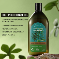 Cacumen Platycladi Cleanser Balancing Shampoo,Cacumen Platycladi Cleanser Balancing Shampoo 