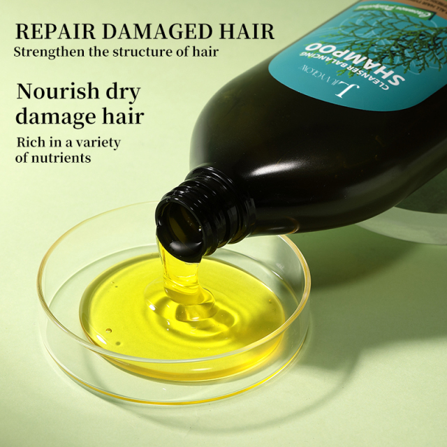 Cacumen Platycladi Cleanser Balancing Shampoo,Cacumen Platycladi Cleanser Balancing Shampoo 