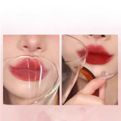 Waterproof and Long-Lasting Liquid Lipstick Velvet Matte Lipstick High Pigmented Lip Makeup Private Label,Waterproof and Long-Lasting Liquid Lipstick Velvet Matte Lipstick High Pigmented Lip Makeup Private Label 