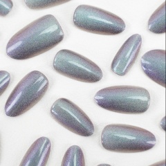 Crush Starlight Reflective Gel Nail,Crush Starlight Reflective Gel Nail 
