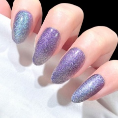 Crush Starlight Reflective Gel Nail,Crush Starlight Reflective Gel Nail 