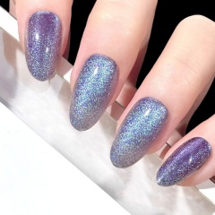 Crush Starlight Reflective Gel Nail,Crush Starlight Reflective Gel Nail 