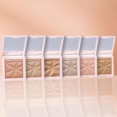 Multi-Shade Highlighter,Multi-Shade Highlighter 