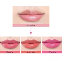 Glossy Multi-Shade Lip Oil,Glossy Multi-Shade Lip Oil 