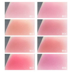 Full Shade Blush Collection (Including B01-B08 Names), Multi-Shade Blush Series, Beauty Factory B2B Supply, Foreign Trade Customizable Packaging & Shades