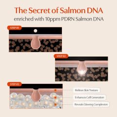 PDRN Glass Skin Serum Bulk Supplier | Beauty Salon Brightening & Elasticity-Boosting Skincare Wholesaler,PDRN Glass Skin Serum Bulk Supplier | Beauty Salon Brightening & Elasticity-Boosting Skincare Wholesaler 