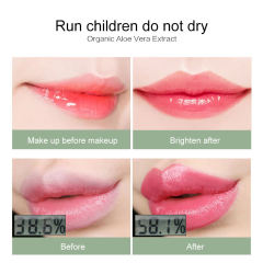 Organic Aloe Vera Lip Balm Wholesale - Moisturizing Lipstick Supplier,Organic Aloe Vera Lip Balm Wholesale - Moisturizing Lipstick Supplier 