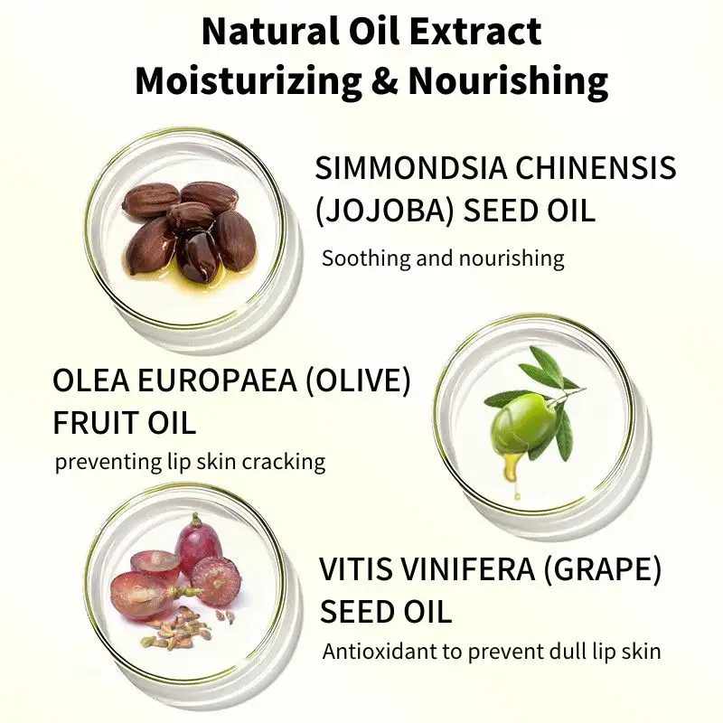 Natural Oil Extract SPF20 Lip Balm - Custom Logo Lip Care Wholesale Supplier,Natural Oil Extract SPF20 Lip Balm - B2B Bulk Custom Logo Lip Care Wholesale Supplier 
