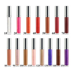 Shimmer Lip Gloss - Custom Logo Lip Makeup Wholesale Supplier,Shimmer Lip Gloss - Custom Logo Lip Makeup Wholesale Supplier 
