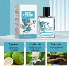 Cupid Perfume Wholesale | Premium Long-Lasting Fresh Fragrance Supplier for Bulk & Retail Partners,Cupid Perfume Wholesale | Premium Long-Lasting Fresh Fragrance Supplier for Bulk & Retail Partners 