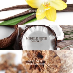 Vanilla Skin Roll-On Perfume Oil Wholesale | Gourmand Vanilla Coconut Fragrance Supplier,Vanilla Skin Roll-On Perfume Oil Wholesale | Gourmand Vanilla Coconut Fragrance Supplier 