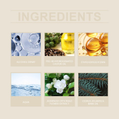 Elegant Floral Women's Perfume Wholesale | 100ml Jasmine Cedar Fragrance Supplier,Elegant Floral Women's Perfume Wholesale | 100ml Jasmine Cedar Fragrance Supplier 