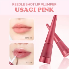 Cica-Infused Lip Gloss - B2B Bulk Custom Logo Lip Care Wholesale Supplier,Cica-Infused Lip Gloss - B2B Bulk Custom Logo Lip Care Wholesale Supplier 