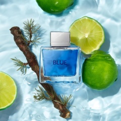 Blue for Men Eau de Toilette Wholesale | Citrus Woody Marine Fragrance Supplier,Blue for Men Eau de Toilette Wholesale | Citrus Woody Marine Fragrance Supplier 