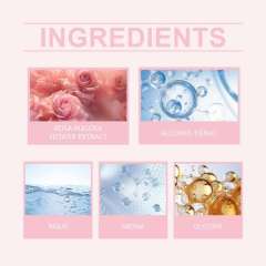 Pink Rose Essential Oil, Gentle, Natural, Refreshing Scent Supplier | OEM Manufacturer| For Wholesale,Pink Rose Essential Oil, Gentle, Natural, Refreshing Scent Supplier | OEM Manufacturer| For Wholesale 