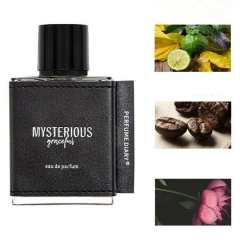 Bleu Men's Fresh Eau de Toilette, Long-Lasting Fragrance OEM Manufacturer & Supplier,Bleu Men's Fresh Eau de Toilette, Long-Lasting Fragrance OEM Manufacturer & Supplier 