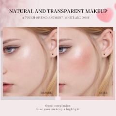 Dual-Head Cream Blush, Matte, Natural, Low-Saturation, Skin-Brightening Blush Stick OEM Manufacturer,Dual-Head Cream Blush, Matte, Natural, Low-Saturation, Skin-Brightening Blush Stick OEM Manufacturer 