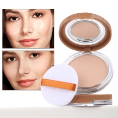Oil-Controlling, Setting, Fine-Textured, Skin-Friendly Pressed Powder OEM Manufacturer & Supplier,Oil-Controlling, Setting, Fine-Textured, Skin-Friendly Pressed Powder OEM Manufacturer & Supplier 