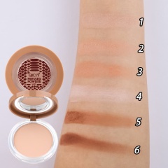 Oil-Controlling, Setting, Fine-Textured, Skin-Friendly Pressed Powder OEM Manufacturer & Supplier,Oil-Controlling, Setting, Fine-Textured, Skin-Friendly Pressed Powder OEM Manufacturer & Supplier 
