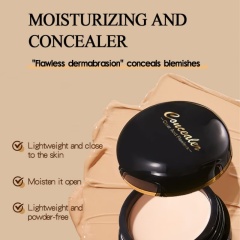 Concealer Foundation Cream, Brightening, Waterproof & Full Coverage OEM Manufacturer & Supplier,Concealer Foundation Cream, Brightening, Waterproof & Full Coverage OEM Manufacturer & Supplier 
