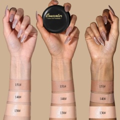 Concealer Foundation Cream, Brightening, Waterproof & Full Coverage OEM Manufacturer & Supplier,Concealer Foundation Cream, Brightening, Waterproof & Full Coverage OEM Manufacturer & Supplier 