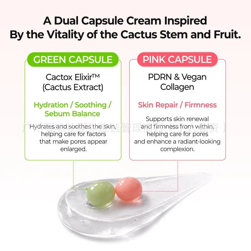Cactox Pore Dual Capsule Cream OEM Manufacturer & Supplier,Cactox Pore Dual Capsule Cream OEM 