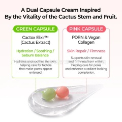 Cactox Pore Dual Capsule Cream OEM Manufacturer & Supplier,Cactox Pore Dual Capsule Cream OEM 