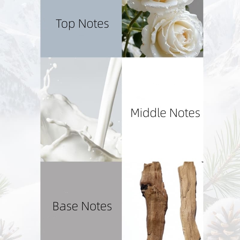 Delicate, All-Day Wear & Captivating Scent | Luxury Eau de Toilette OEM Manufacturer & Supplier,Delicate, All-Day Wear & Captivating Scent | Luxury Eau de Toilette OEM Manufacturer & Supplier 