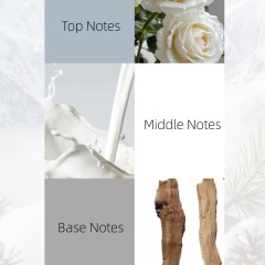 Delicate, All-Day Wear & Captivating Scent | Luxury Eau de Toilette OEM Manufacturer & Supplier,Delicate, All-Day Wear & Captivating Scent | Luxury Eau de Toilette OEM Manufacturer & Supplier 