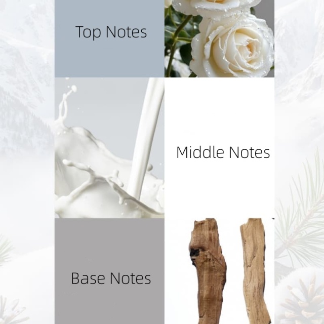 Delicate, All-Day Wear & Captivating Scent | Luxury Eau de Toilette OEM Manufacturer & Supplier,Delicate, All-Day Wear & Captivating Scent | Luxury Eau de Toilette OEM Manufacturer & Supplier 