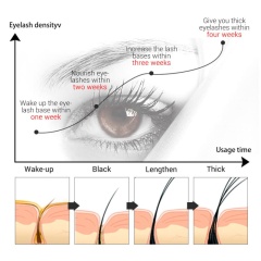 Dark, Curled Eyelashes & Eyebrows Natural Eyelash Serum OEM Manufacturer & Supplier,Dark, Curled Eyelashes & Eyebrows Natural Eyelash Serum OEM Manufacturer & Supplier 