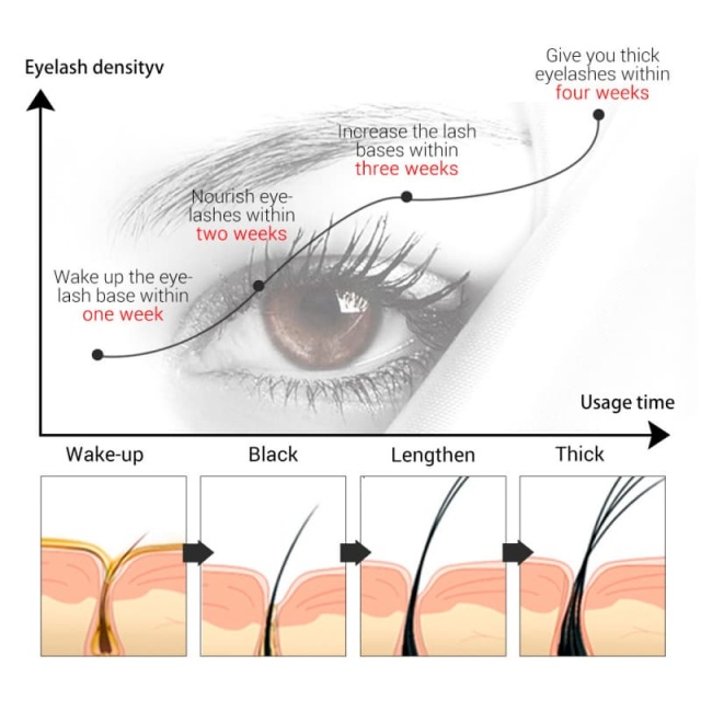 Dark, Curled Eyelashes & Eyebrows Natural Eyelash Serum OEM Manufacturer & Supplier,Dark, Curled Eyelashes & Eyebrows Natural Eyelash Serum OEM Manufacturer & Supplier 