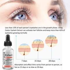 Dark, Curled Eyelashes & Eyebrows Natural Eyelash Serum OEM Manufacturer & Supplier,Dark, Curled Eyelashes & Eyebrows Natural Eyelash Serum OEM Manufacturer & Supplier 