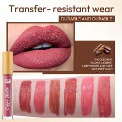 Coffee Matte, Velvet Finish, Moisturizing, Non-transferable Lip Gloss OEM Manufacturer & Supplier,Coffee Matte, Velvet Finish, Moisturizing, Non-transferable Lip Gloss OEM Manufacturer & Supplier 