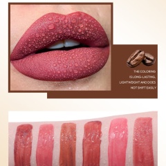 Coffee Matte, Velvet Finish, Moisturizing, Non-transferable Lip Gloss OEM Manufacturer & Supplier,Coffee Matte, Velvet Finish, Moisturizing, Non-transferable Lip Gloss OEM Manufacturer & Supplier 