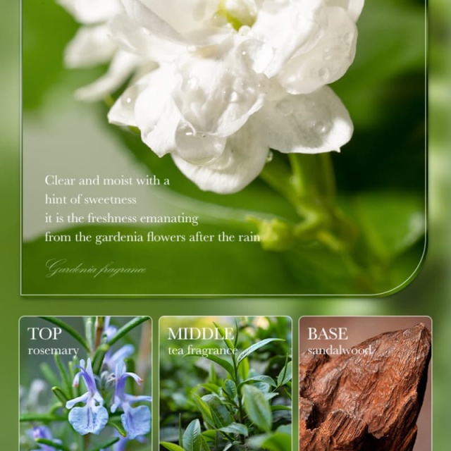 Rosemary Hair Mask (7.5g) From Anti-Frizz Hair Shampoo & Conditioner Series OEM Manufacturer & Supplier,Rosemary Hair Mask (7.5g) From Anti-Frizz Hair Shampoo & Conditioner Series OEM Manufacturer & Supplier 