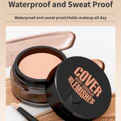 Waterproof Concealer & Foundation Cream for Covering Dark Circles and Acne Marks,Waterproof Concealer & Foundation Cream for Covering Dark Circles and Acne Marks 